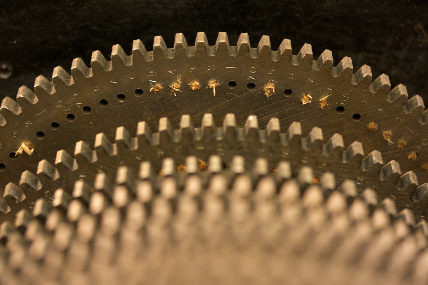 Figure 2 — Close-up of the original gears. A hole is drilled under each tooth at a constant depth, with its residue engraved beside it; holes for unacceptable residues are stopped with the broken ends of wood…